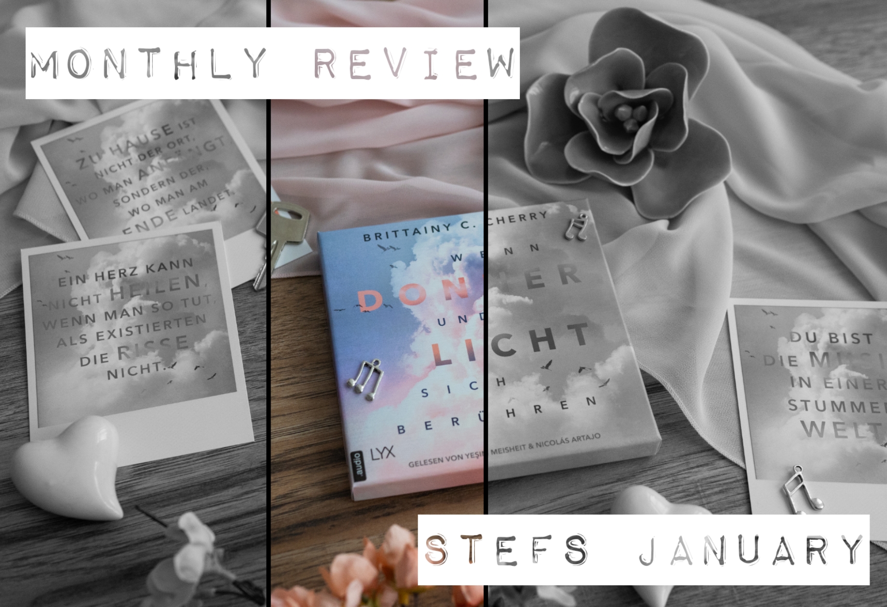Monthly Review: Stefs January graphic