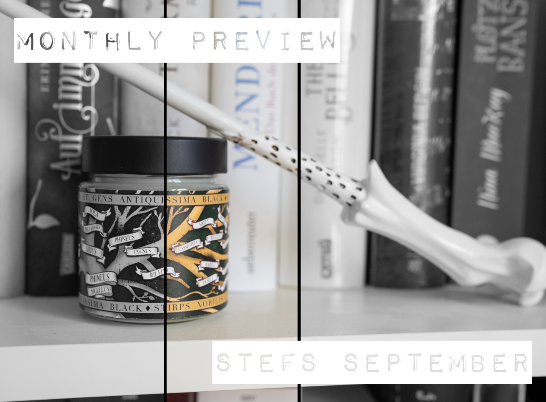 Monthly Preview – Stefs September graphic